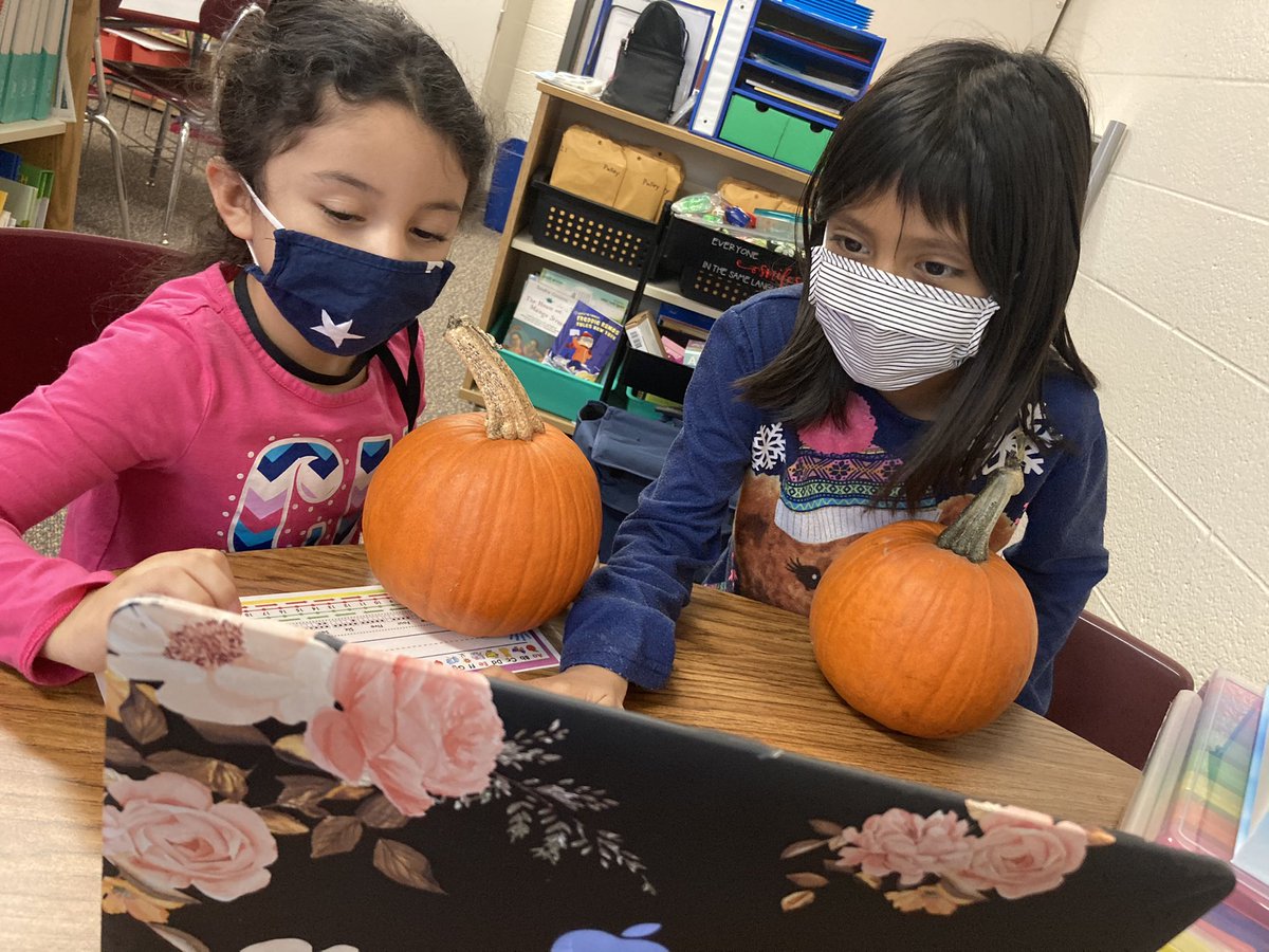 KaraPulley's tweet photo. Thanks to @griggs_emily and the rest of the Kindergarten Team, I was able to give a couple of my EL students an opportunity to learn about and explore a pumpkin! They ❤️’d it, even the slimy seeds inside!#learningbyexploring @Northelem2 https://t.co/fa9n9BJfVx