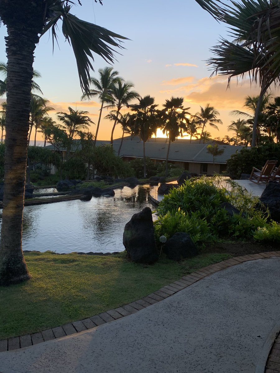 Jamie Shigeta tweet media