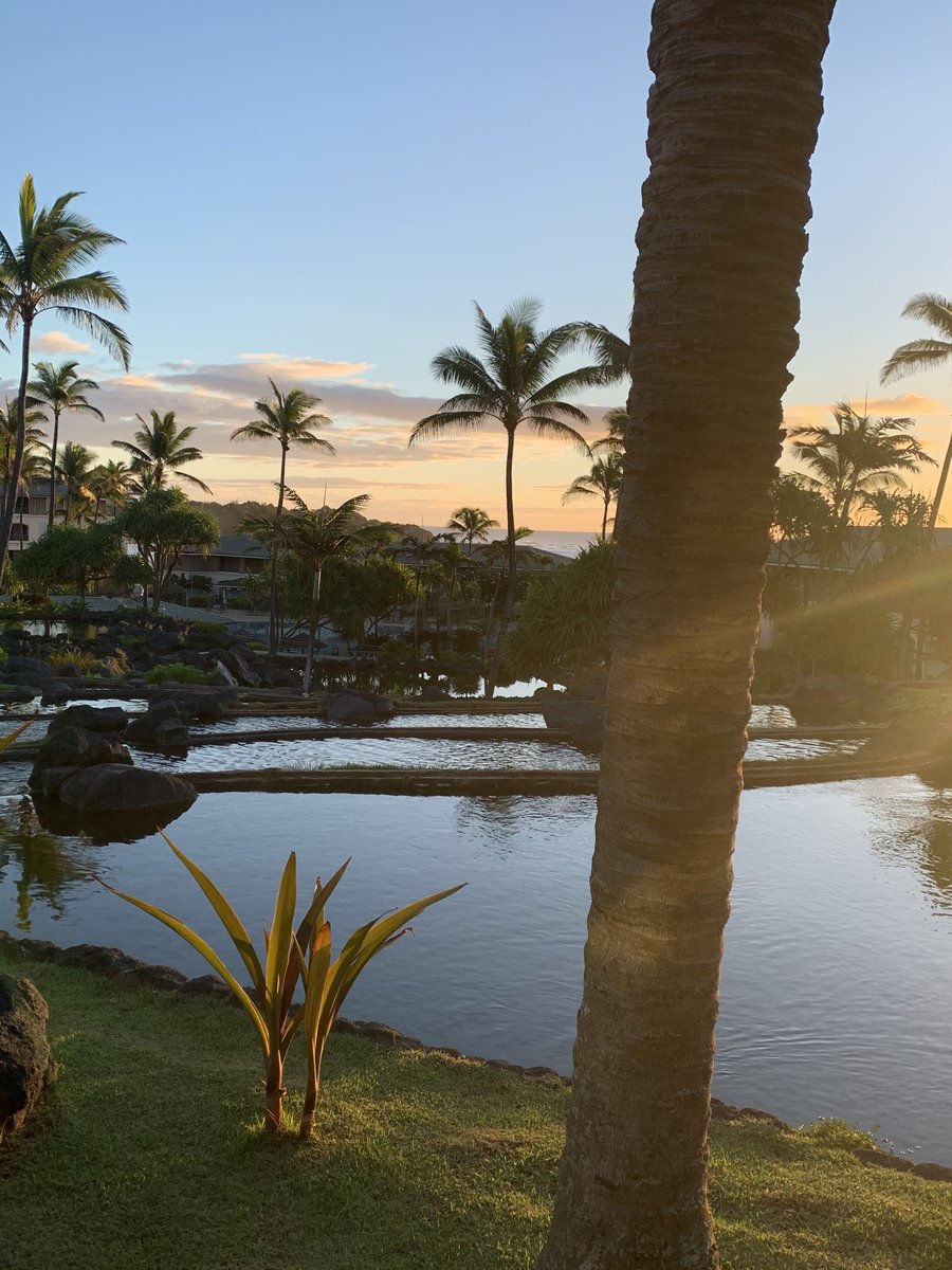 Jamie Shigeta tweet media