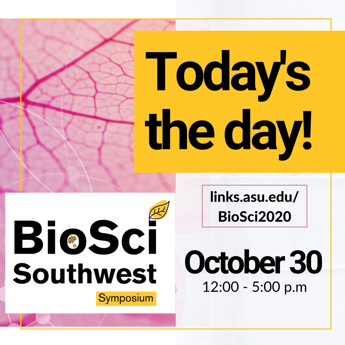Today's the day! 

Hear from our keynote panel at noon, participate in networking and coffee chats (2:10 p.m.), and listen to paper presentations and SciComm Q&amp;A throughout. 

Full schedule at links.asu.edu/BioSci2020

#nextgen #scientists #biology #undergraduateresearch #SOLUR