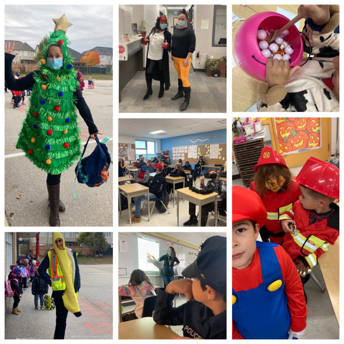 Boyne River P.S. tweet media