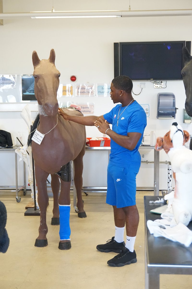 In this thread, Emmanuel gives us some insight into his personal journey to Veterinary Medicine, where he gives his account of the challenges he faced and the challenges he continues to face.  #AAtakeover  #Inspire  #Diversify  #Vetdiversity 1/19