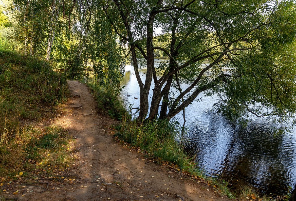 mriverstrogino's tweet photo. According to the results of an analytical study conducted in the spring of 2020, it turned out that the River Moskva bank, as well as the Strogino floodplain and its highland terraces were significantly transformed.
#moskvarekastrogino #competition #gradplanmoscow https://t.co/Ng6WlUj7ps