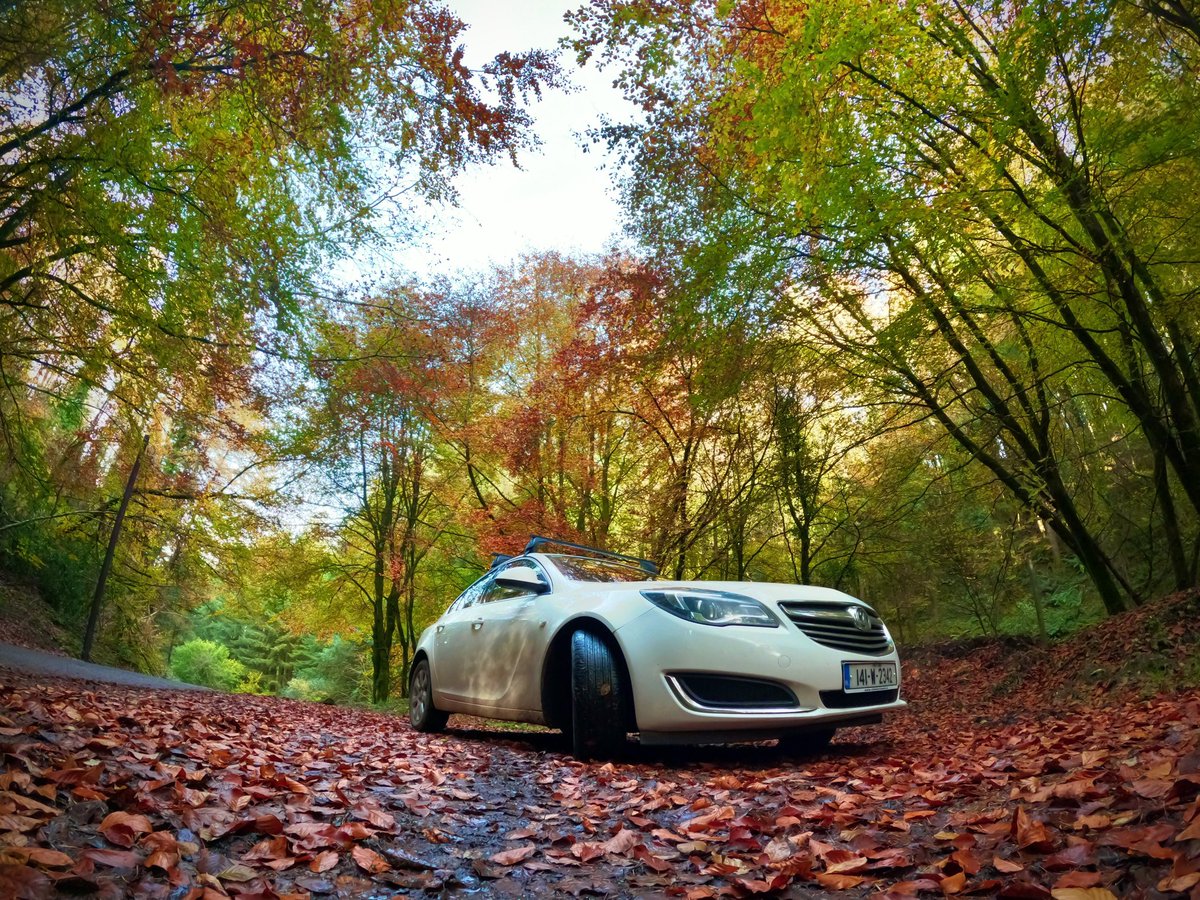 Oli_Barton's tweet photo. Some more autumn goodness 🚙🍂🍁 #autumn #gopro #goprohero9 https://t.co/00EgJNkQjL