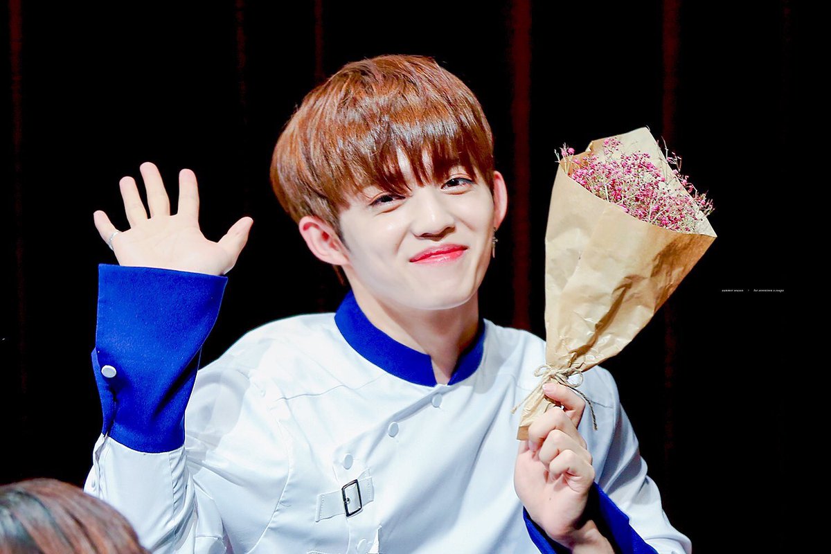 open this thread to become soft for seungcheol