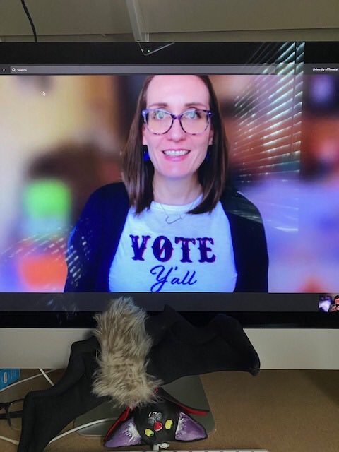 BatholomewBDT's tweet photo. Bat does zoom--as we all do these days--but he's also encouraging you to get out and VOTE, since he can't, he needs you to represent!#batdoesthat #batober #batdoesday30 #halloween￼ #batdoessat #militarycityusa #sanatonio #batdoessat #batdoeszoom #zoom #vote2020 https://t.co/a8dHWPjMDF
