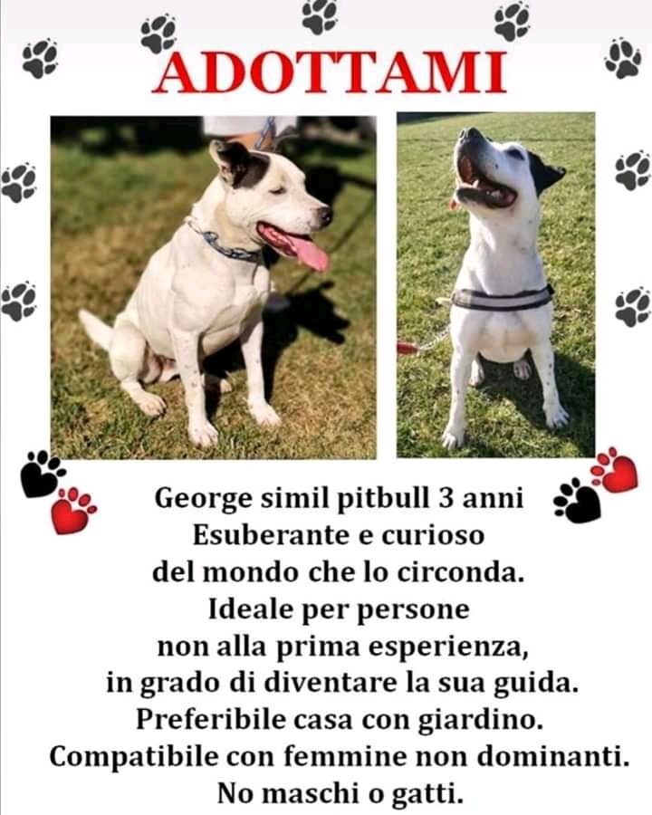 lucacurc's tweet photo. Si trova a Lissone Mb. 
X info 3923846946 https://t.co/D4eEBium5Z