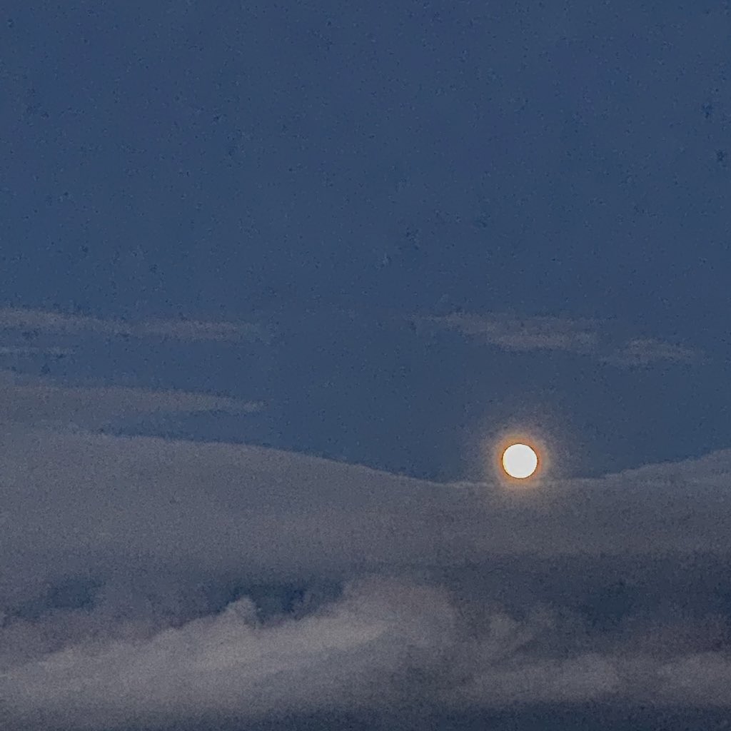 huntan95timu's tweet photo. happyHalloween🌙🧡 https://t.co/WNoxNvd1i9