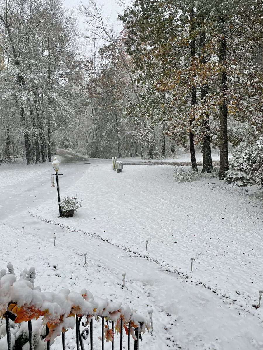 AdriannaDesigns's tweet photo. 2020 you win... ๐ #snowinoctober #snowing #winterishere https://t.co/PYuqD2WoqO