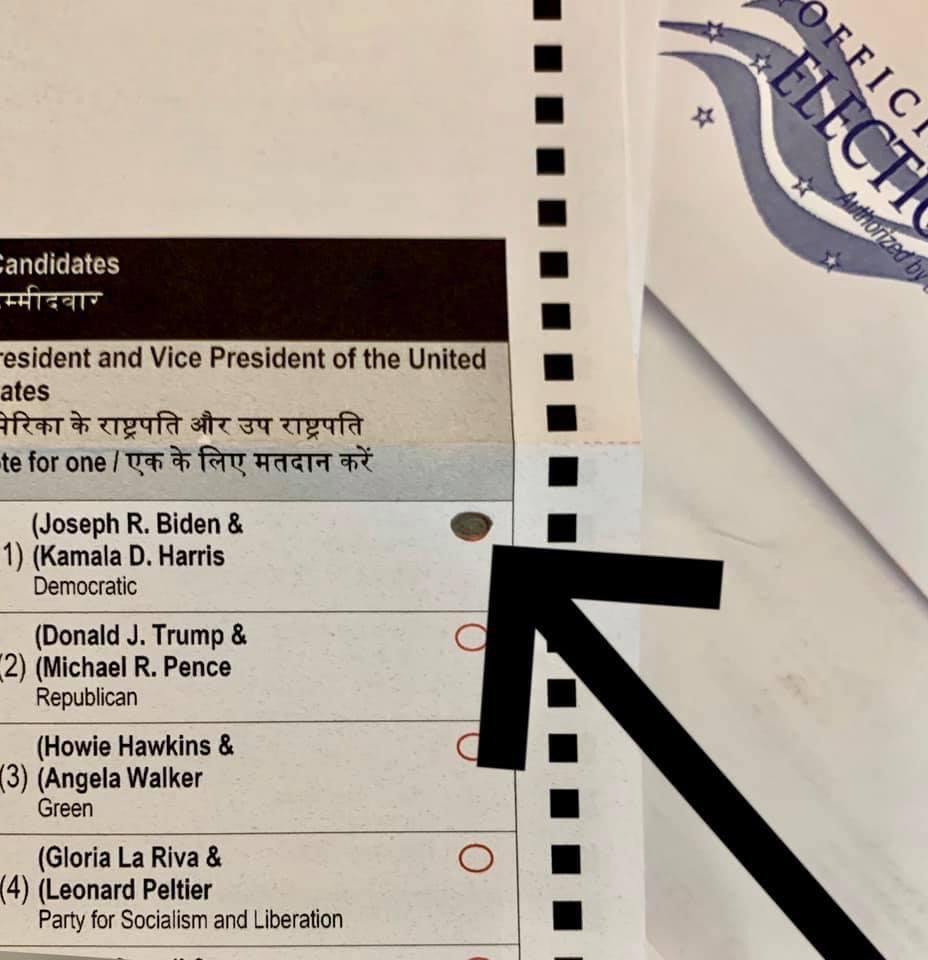 Meidas_Erin's tweet photo. @GOP Early voted for #BidenHarris and BLUE all the way down my ballot. #TuesdaySenateBlueWave https://t.co/a271rpEJ1D