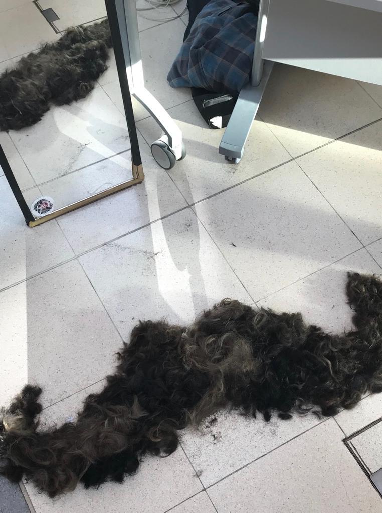 Movember France tweet media