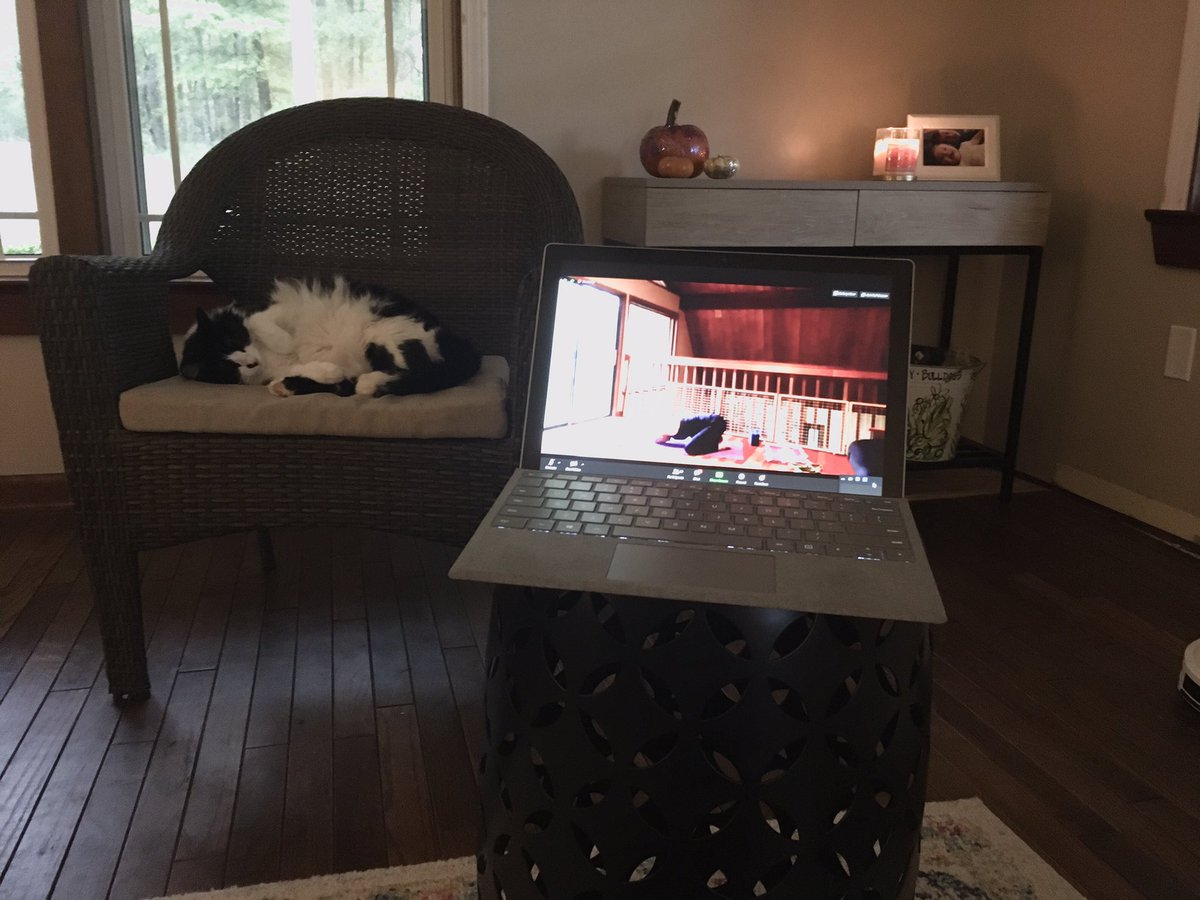 AOlivierDVM's tweet photo. Started the first day of the virtual ACVP meeting with yoga. Off to a great start. Now the diagnostic cases! #ACVPVIRTUAL2020 https://t.co/ODXK6rgBOy