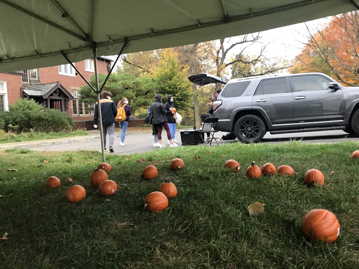 OSUHonorScholar's tweet photo. Health Science Scholars students found time to enjoy some safe Halloween fun by picking up a pumpkin for some de-stressing pumpkin painting fun on Zoom. #HSOSU https://t.co/p5uHO5zRKl