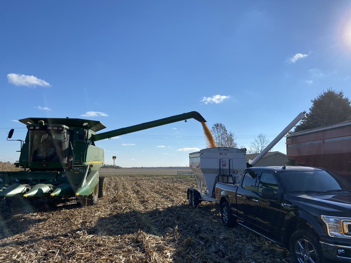 Plot harvest day at <a href="/LGSeeds/">LG Seeds</a> Star Partner <a href="/rushcreekseed/">Rush Creek Seed</a> in Boone County, IL. Excited to see the results between the full LG Seeds line up from 97-115 day including fasttrack Non-Gmo options