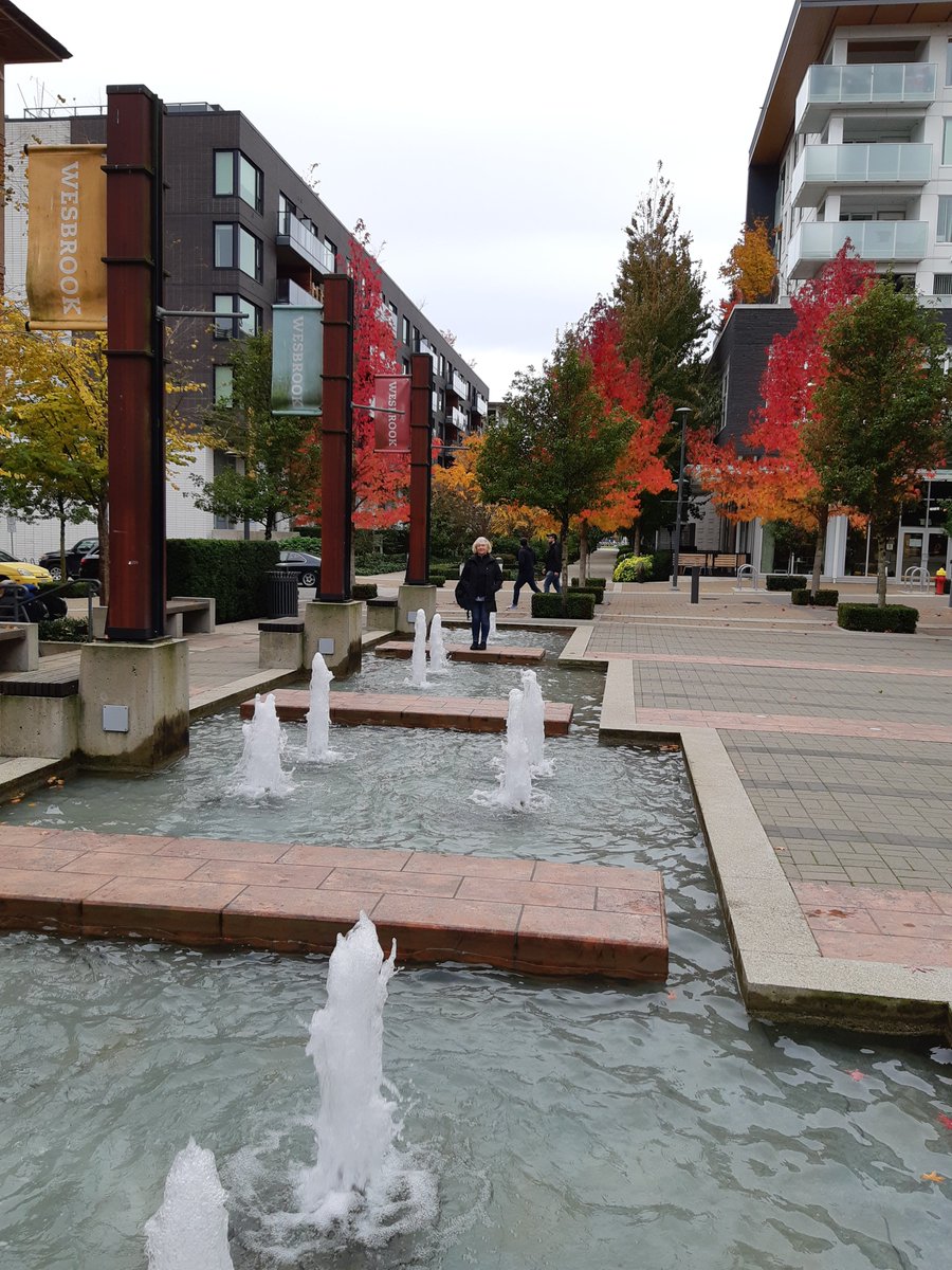 Great day for a walk through the @UBC forest with a stop @BlenzCoffee. #WritingCommunity #introvert #amwriting https://t.co/wRmkgQbBO0