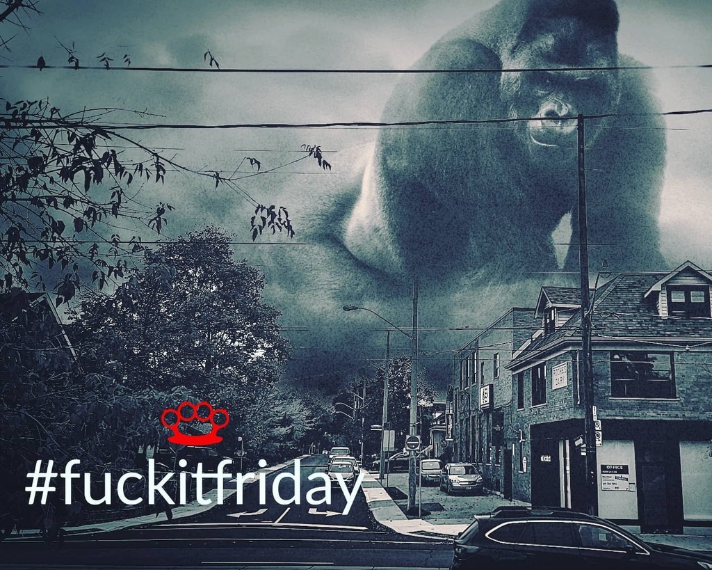 tebInteriors's tweet photo. Stepped out onto my front porch to run some errands and...........
.
*sigh*
.
Nevermind
.
*shuffles feet*
.
I'll just enjoy #fuckitfriday inside today
.
*shakes fist at 2020*
.
. 
#tgifif #2020 #kingkong #ohcomeonnow #howcanthingsgetanyworse https://t.co/zlpvoTm7Ei https://t.co/8e8mQz13gn
