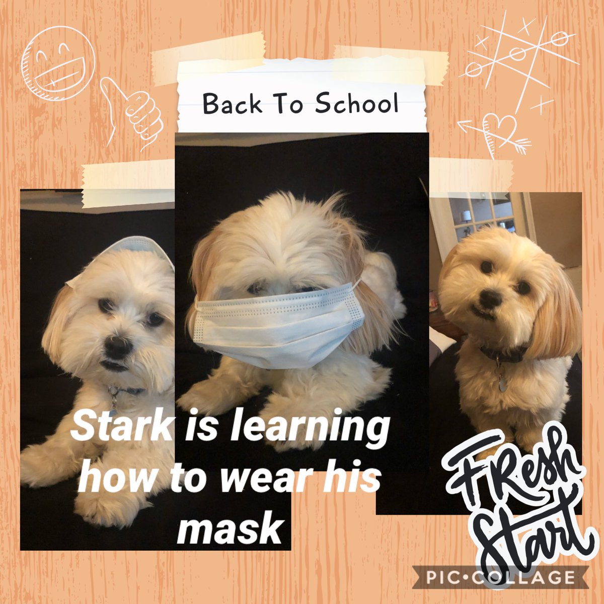 Getting ready to head back to school soon for a few of our classes.. practice wearing your masks !!#FLC