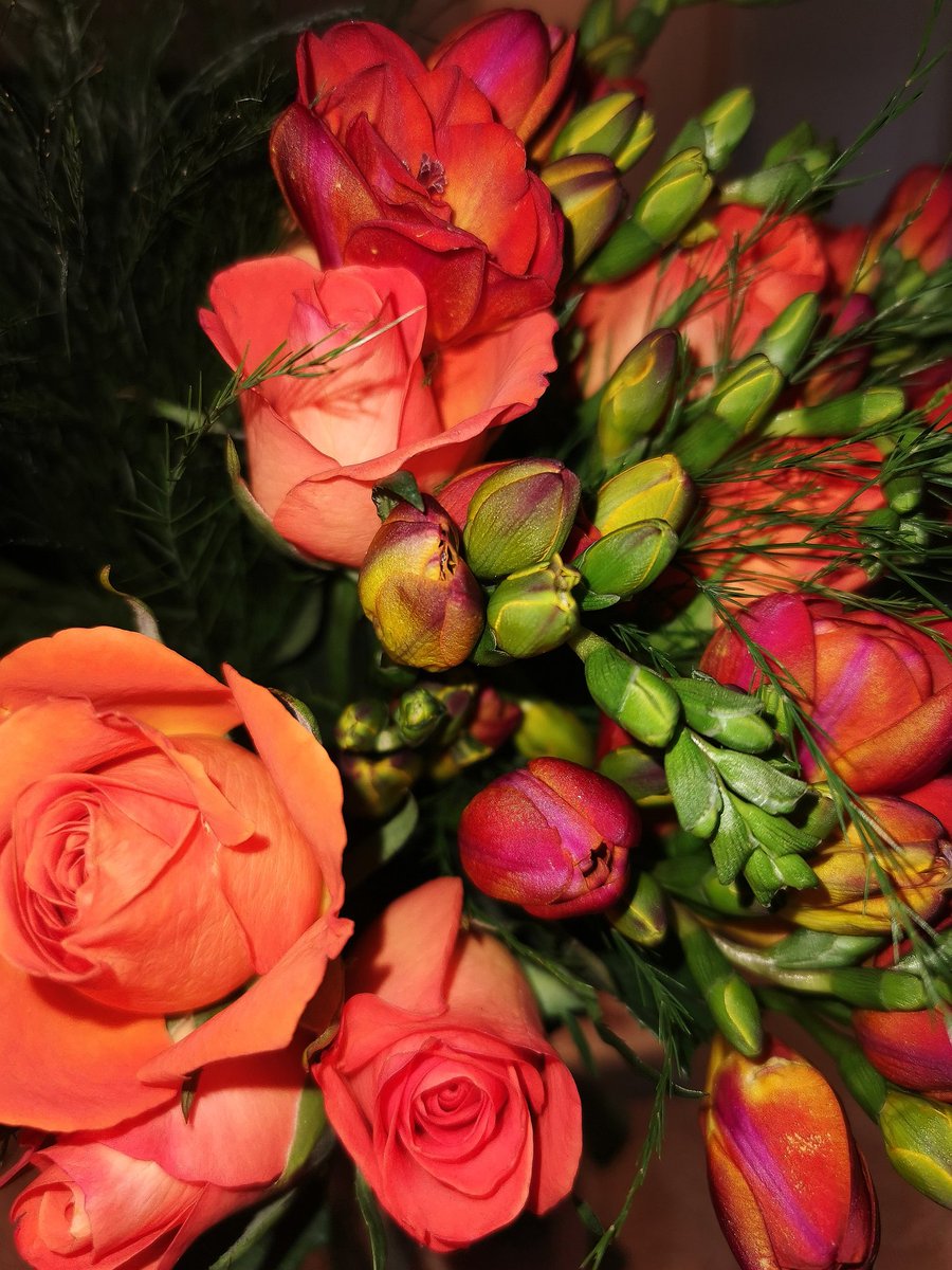 RebeccaLemin tweet media