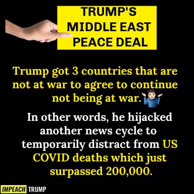 Meidas_Erin's tweet photo. @GOPLeader What a load of 💩. FYI—-@realDonaldTrump so called “peace treaty”—just another distraction from his failure with the pandemic. But nice try. America sees through all of it and we’re voting you ALL out. #Elections2020 #BidenHarris #TuesdaySenateBlueWave #BlueTsunami https://t.co/v50ExEf7e4