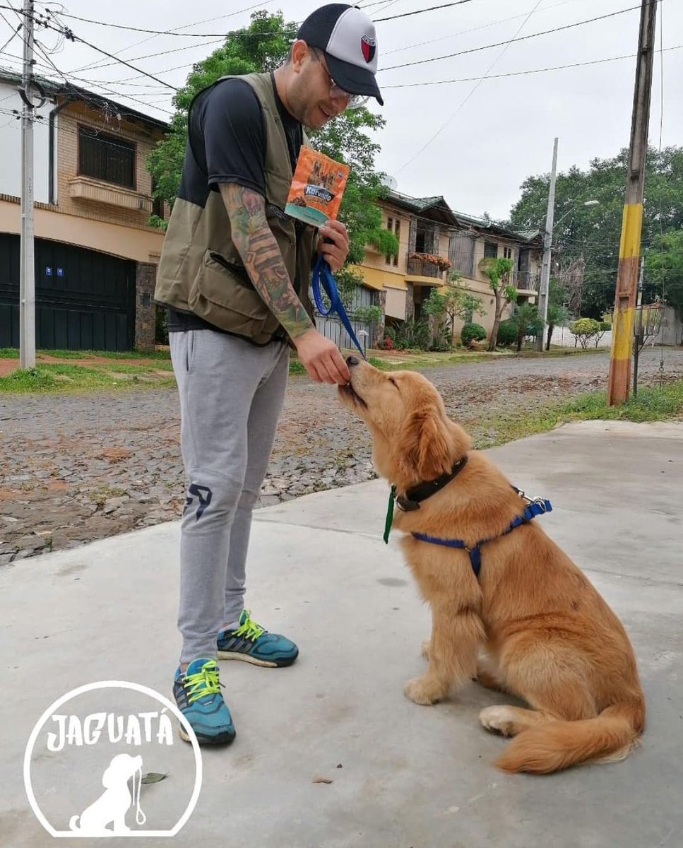 karundopy's tweet photo. Hay equipo 🙌🏻😉
#JaguataPaseos #karundo
🐶❤ https://t.co/7RfzaNOBnI