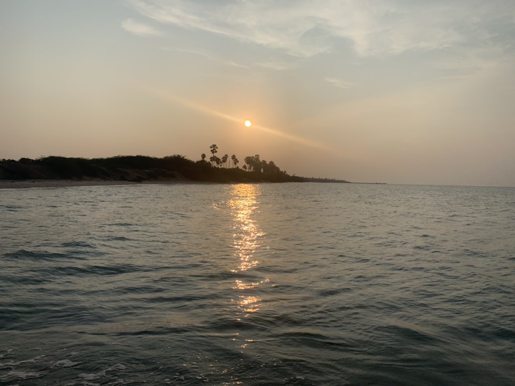 AnilSharmaRocks's tweet photo. At Rameshwaram... took some nature pics... took a break during pandemic...😊 https://t.co/AuVUOXIdxT