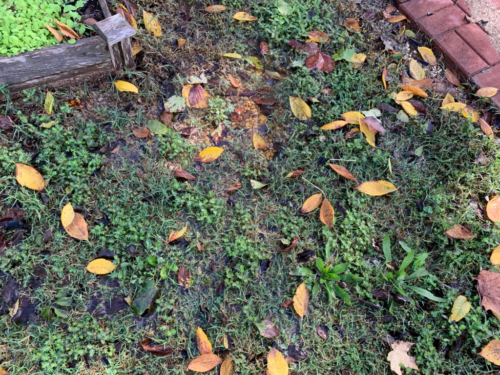 lyb_bham's tweet photo. We're very excited for our beloved #communitygardens to be published in Birmingham's Stormwater Management FY19 Annual Report on their flood mitigation functions again! #LoveYourBlock #stormwatermanagement https://t.co/BHaeoVxNlW