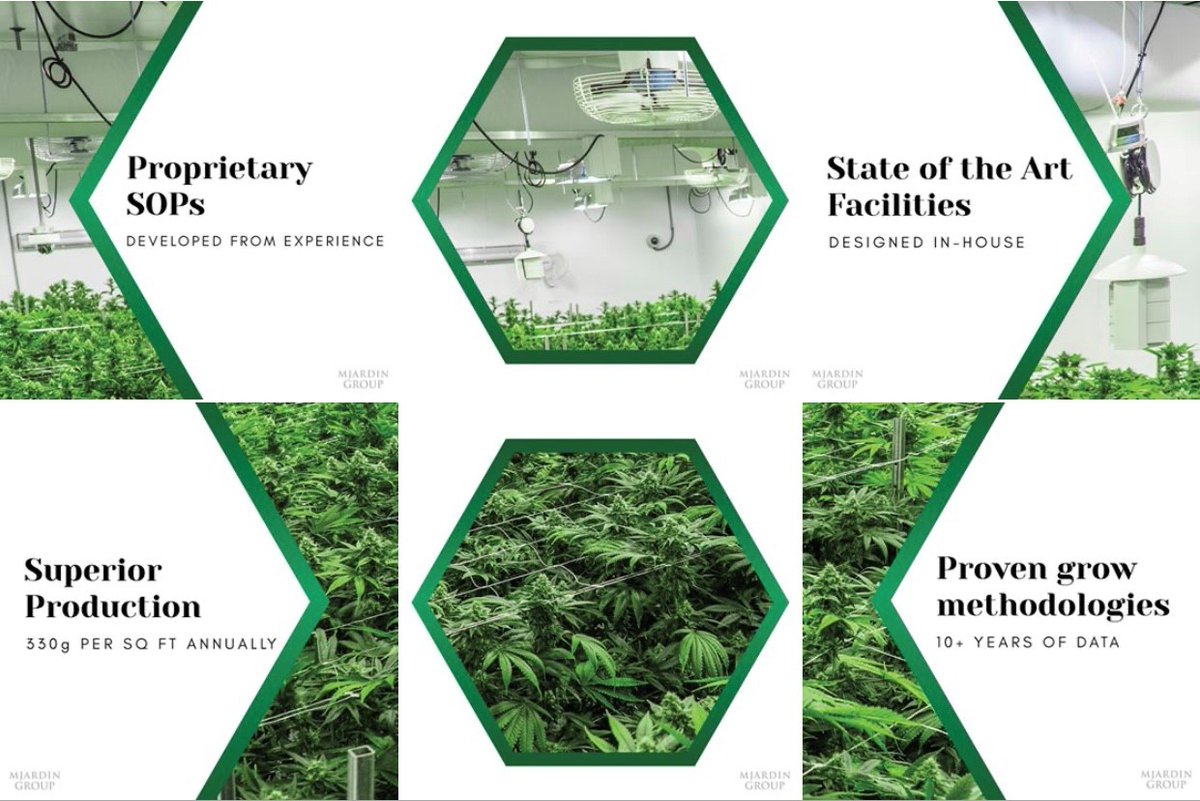 Have you checked out our IG page lately? Follow us at instagram.com/mjardingroup/ as we strive to bring you into our world and share our decade of experience with you, our valued followers. 💚🇺🇸🇨🇦#experiencedcultivators #commercialscale #premiumproduct $MJAR $MJARF @MJardinCanada