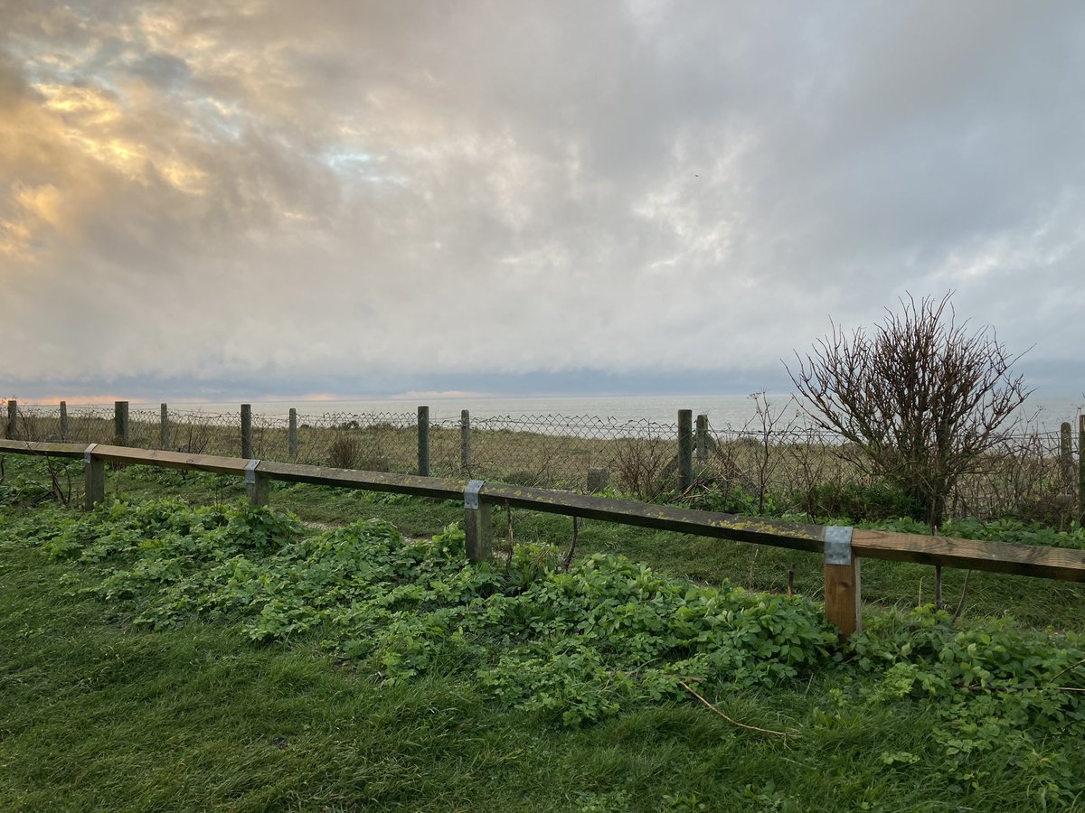 CampingNeeds's tweet photo. Just come back from a lovely few days away at Sandringham. We visited Hunstanton where we found some Donuts and also had fish n chips. 

We think that this maybe our last outing of the year due to Tier restrictions - we will see! https://t.co/eFAl0P8JXF