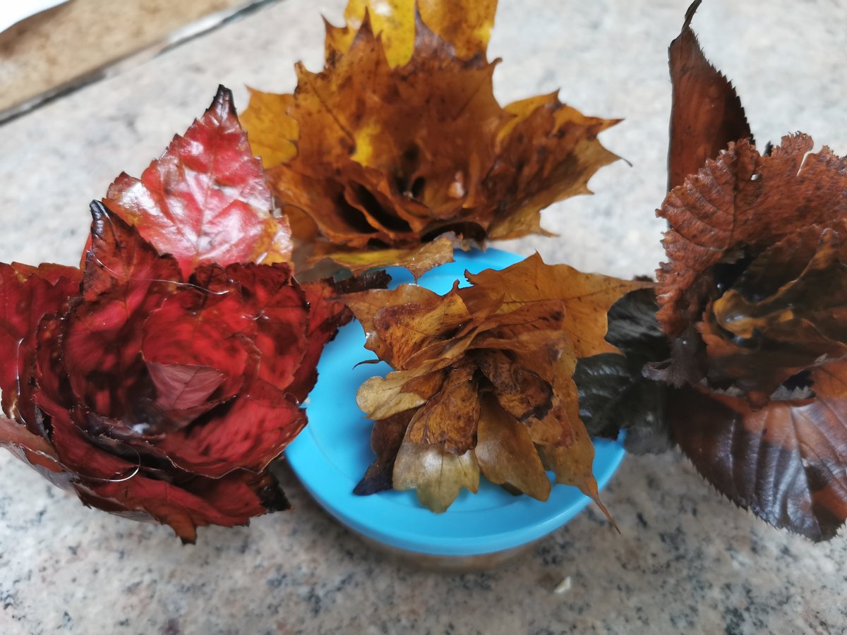 cake_anyone's tweet photo. I preserved some autumn leaves in a glycerin mix and have made some flowers for our table for our Samhain celebrations tomorrow. #samhain #autumn #leaves #leafflower https://t.co/1aQbHASiP4