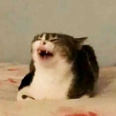 ElTioGalletica's tweet image. Cuando usas #DataMax y no tienes que estar marcando #222 para ver cuántos datos te quedan /// Pero tampoco te duran nada los paquetes