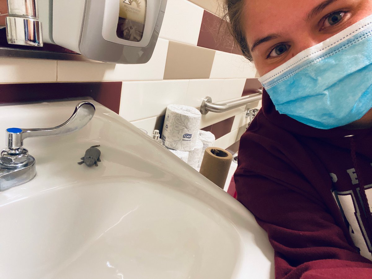 Shelbee Riché tweet media