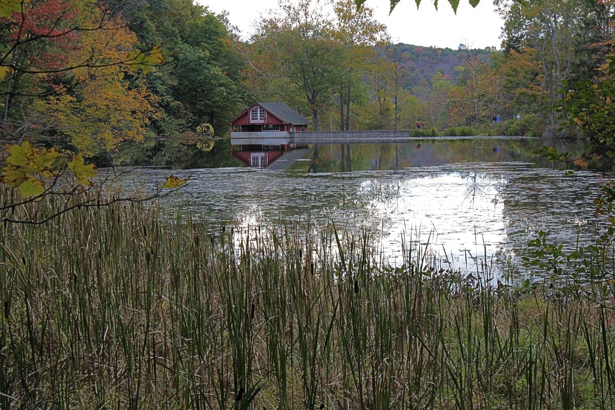 wcaudubon's tweet photo. Member Meeting and Speaker Tuesday, November 3, 2020 And More! #birdmasks @kaoru_bird #virtualfieldtrips @mebrosius @BirdsBeans #coffee #birdnest #mechanics @uakron @nytimes
https://t.co/5NEau67rXW https://t.co/ab0Cpkz81n