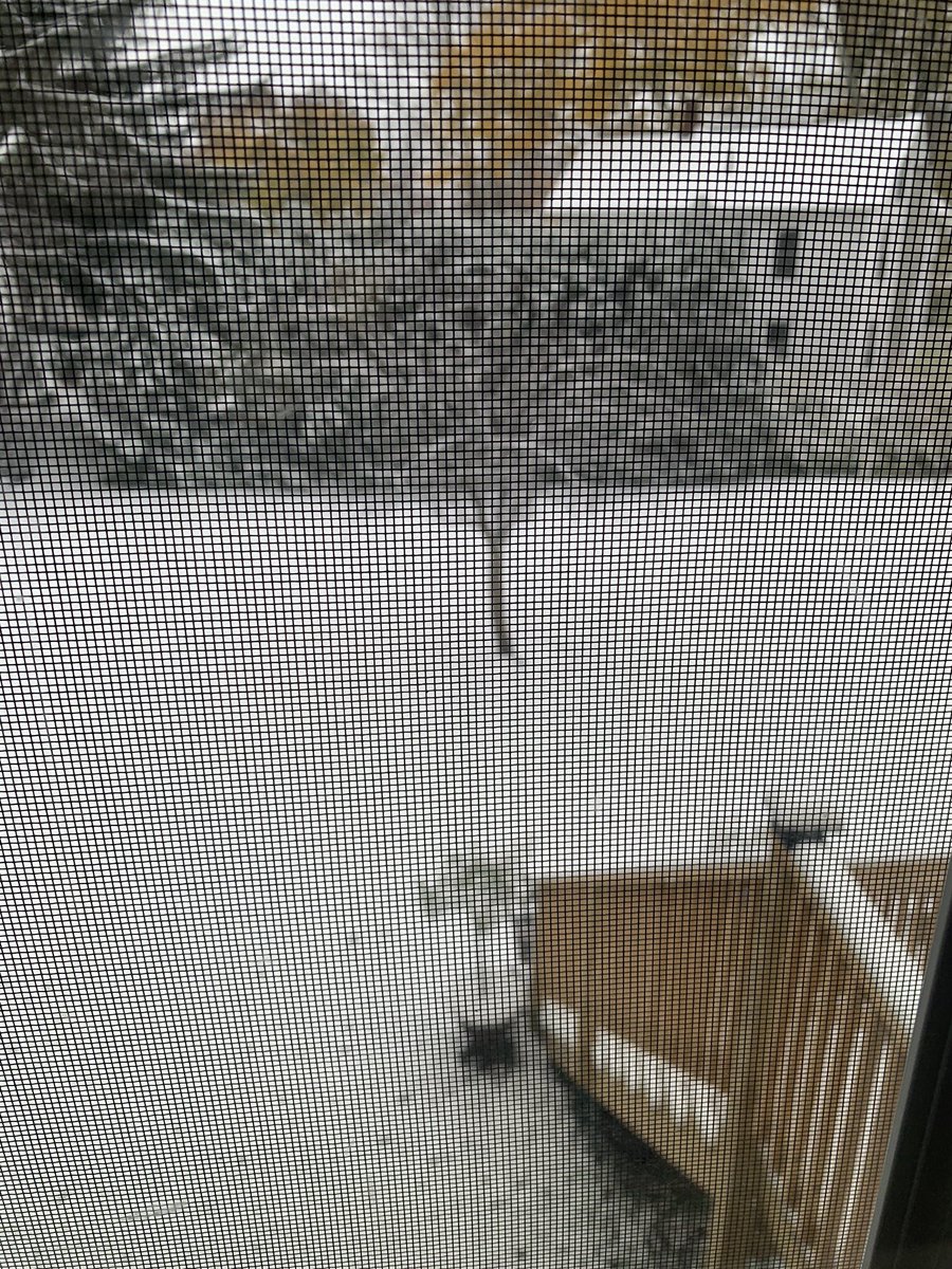 golfspybarbajo's tweet photo. Oh bloody hell...
#wintersux https://t.co/j33yXQOBLp