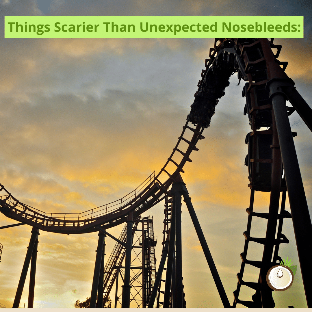 Things Scarier Than Unexpected NoseBleeds: 

ROLLER COASTERS! Calling all scare-d cats like us 🙋‍

We think these high flying, fast rolling machines are about as scary as it gets. 

#Rollercoasters #Halloween  #Halloweek