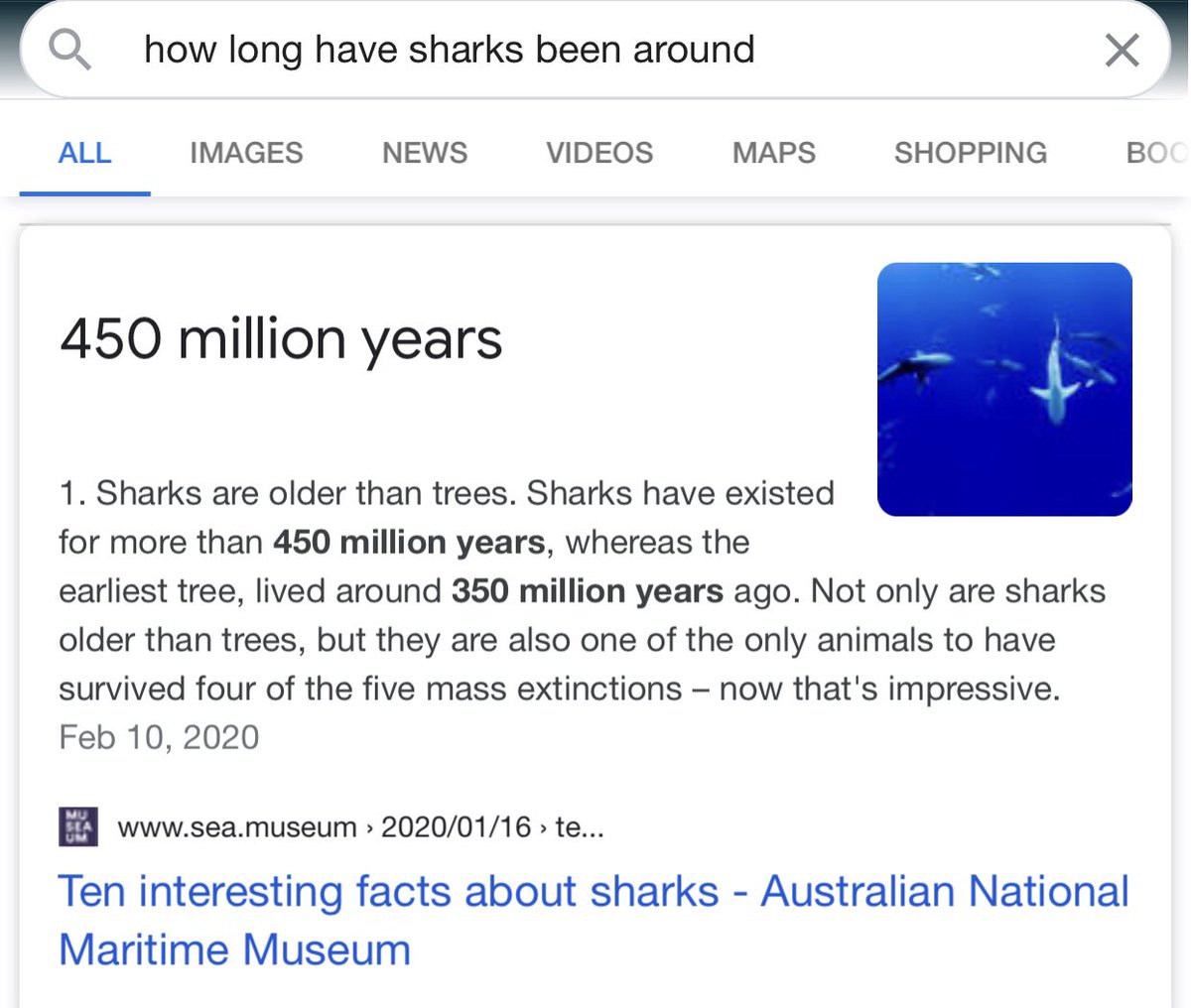 Mates, I just read that sharks have existed for longer than Saturn’s rings and now I will never know peace.