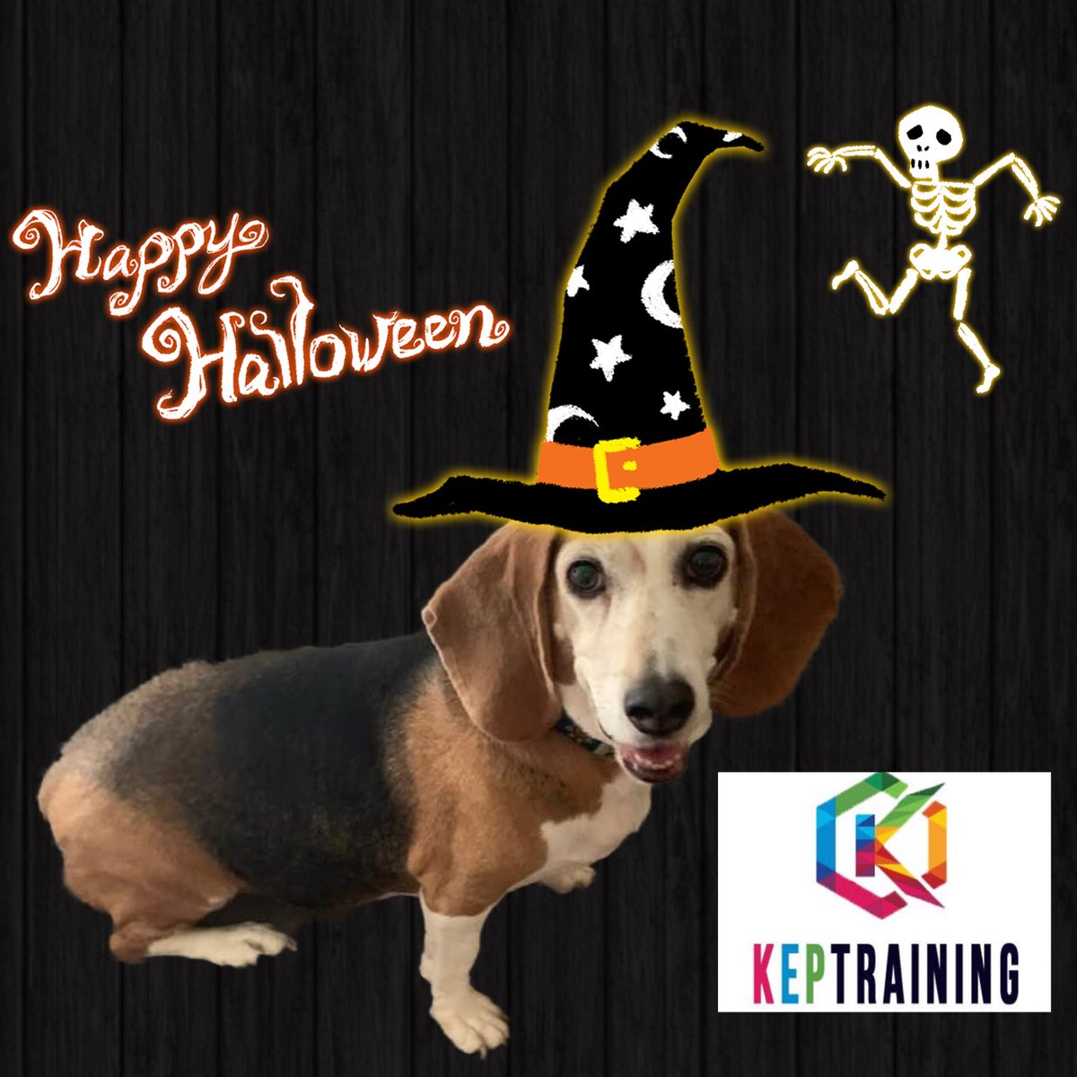 KEPTraining's tweet photo. Cyber and all of us at KEP Training want to wish you a Happy and Healthy Halloween!!  🎃👻🎃 https://t.co/hQGF7WE9Gi #keptraining #kepcyber @AnnaKepshire https://t.co/rDEJ2WvCd3