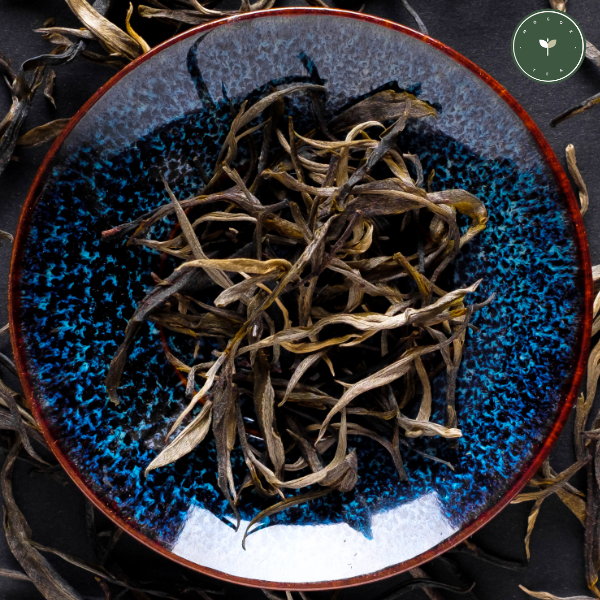 MogokTea's tweet photo. Black tea and green tea are 2 of the most common categories of tea. They have different tastes, appearance, caffeine levels and they are made differently.  Try Mogok black and green teas. Which one you choose,  you will  be getting an enjoyable and  flavourful cup. #tea https://t.co/TMvJpecxLl