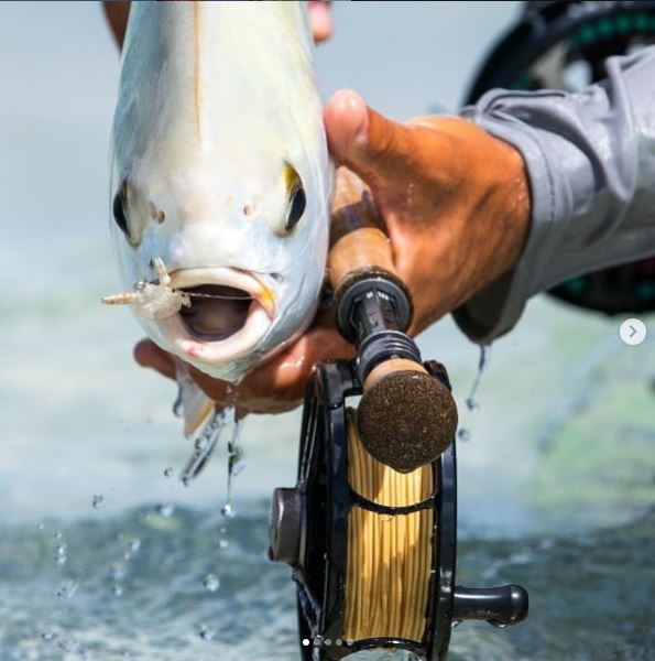 fishwest's tweet photo. Shouldn't talk with a mouthful.

#FishPicsFriday #Fishwest #AllThingsFlyFIshing #Friday #FishPics #Fishpix #flyfishing

(all credit for pictures on our instagram account - https://t.co/9Vgz3j7iiJ)

Check out: https://t.co/Sud8oEPjcB https://t.co/Vii0Mk0tvu