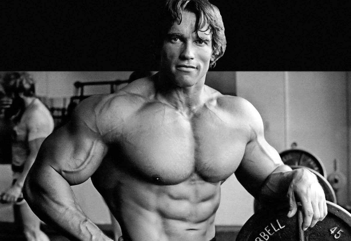 99.99% motivational books belong in the trash can.There's only one you need to read and that'sThe Education of a Body Builder by Arnold Schwarzenegger Here are the most impactful quotes from it.[THREAD]