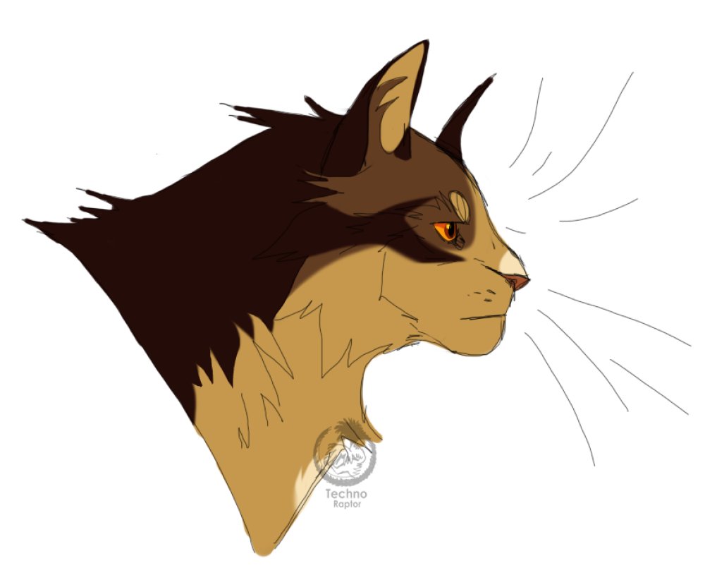 Techno_Raptor's tweet photo. Sketchy #Brambleclaw with the @niftysenpai's design.

[ #wc ] [ #warriors ] [ #warriorcats ] https://t.co/CQjH2l1ObR