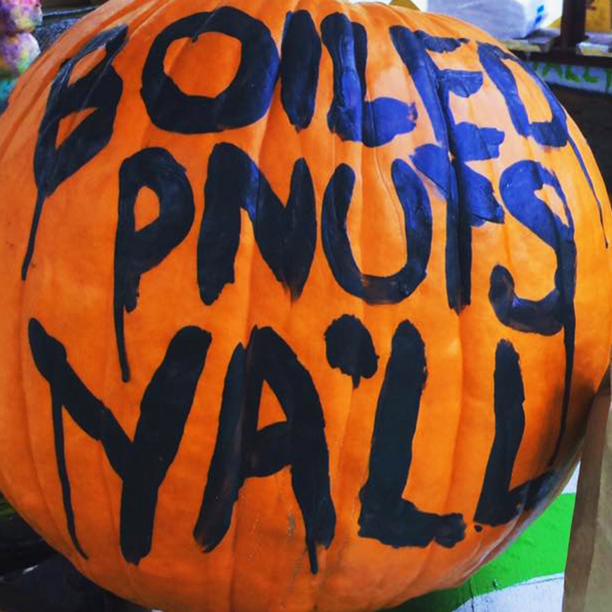 BoiledPnutsYall's tweet photo. HAVE A GOOD HALLOWEEN OR ELSE!
.
.
.
.
.

#boiledpeanuts #delivery #columbiasc #downtowncolumbiasc #florencesc #westcolumbia #forestacres #rosewood #garnersferry #irmo #irmosc #lugoff #elginsc #lugoffelgin #boiledpeanutrecipe #southernfood #grits #halloween #pumpkin https://t.co/w9iIMDrG4o