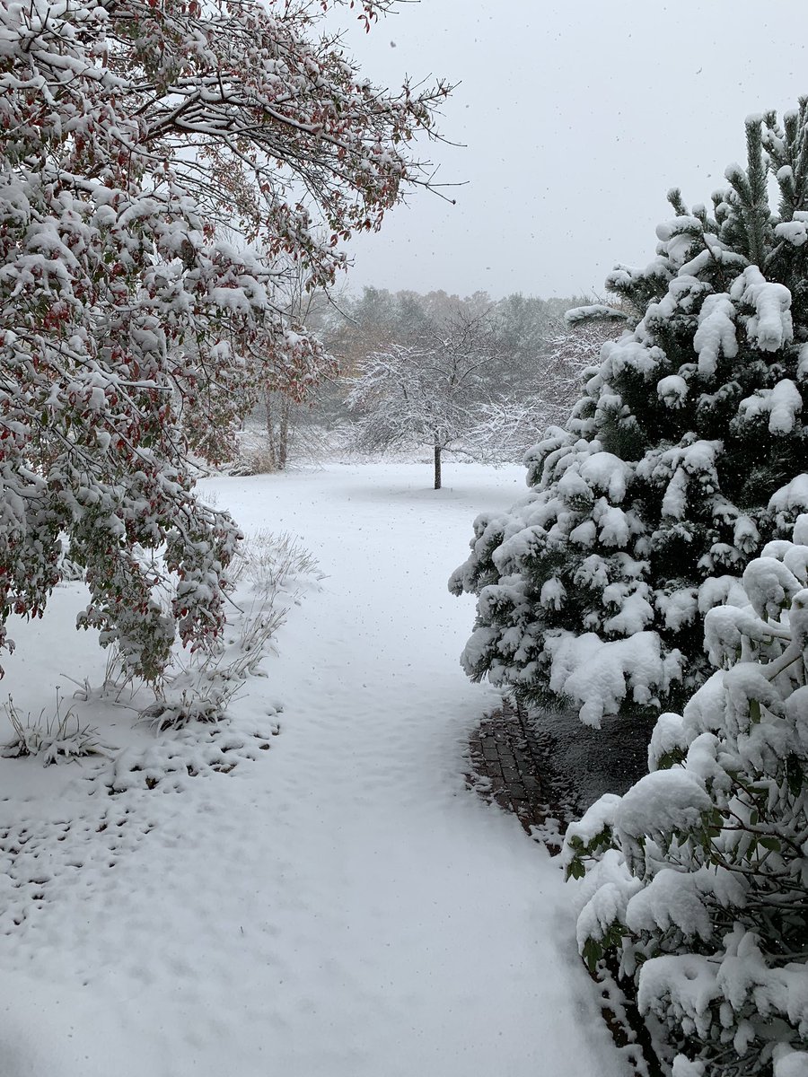 Steven Reingold tweet media