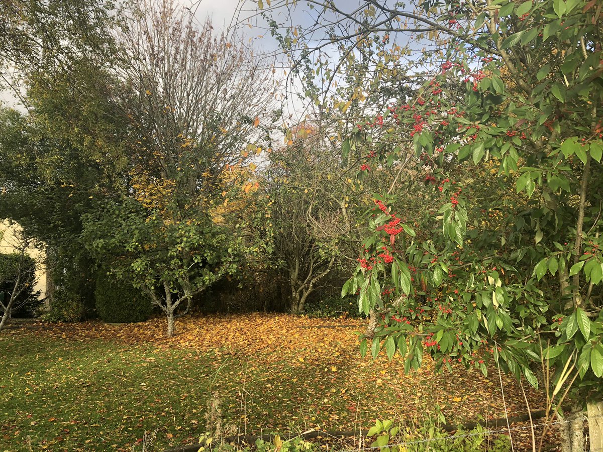 Lintrathen Cycles tweet media