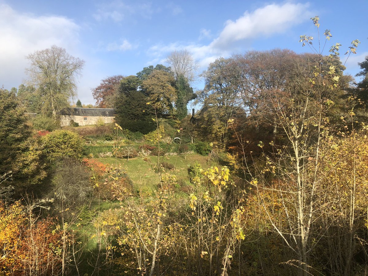 Lintrathen Cycles tweet media