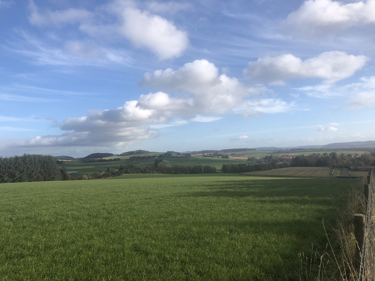 Lintrathen Cycles tweet media