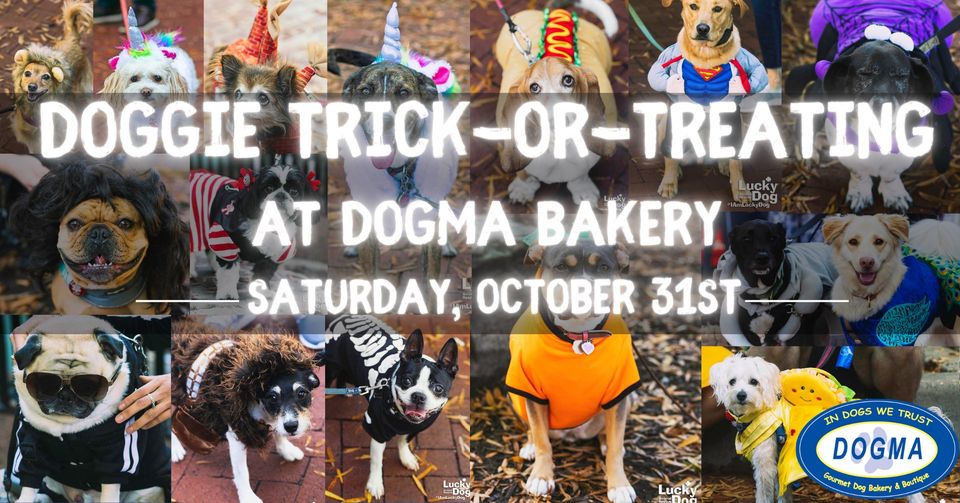 Dogma Dog Bakery tweet media