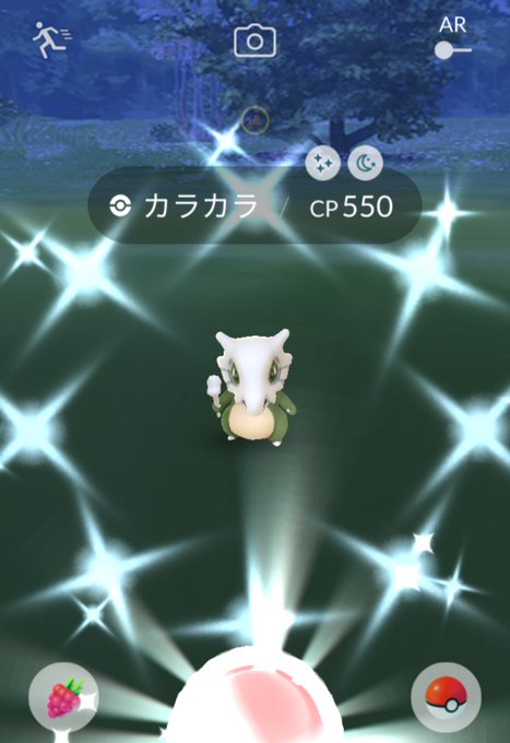 カラカラ色違いのtwitterイラスト検索結果