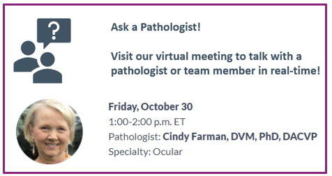 StageBio_CRO's tweet photo. Our featured pathologist Cindy Farman, DVM, PhD, DACVP will be in our virtual meeting room today from 1-2pm ET. Dr. Farman’s specialty is ocular pathology, join the discussion. #ACVPVirtual2020 https://t.co/eXUEGB30ib
