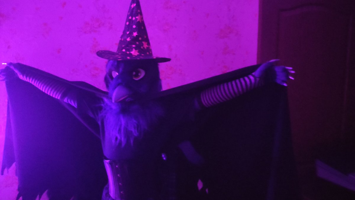 AilloTusk's tweet photo. Picked up a costume for Halloween party. I think it turned out pretty good. But if you say it didn't, then i am gonna turn you into an animal... Wait, you'd like that, wouldn't you? #Halloween #FursuitFriday #furry @CuteFursuits @FursuitPursuits https://t.co/PhpvKETJlT