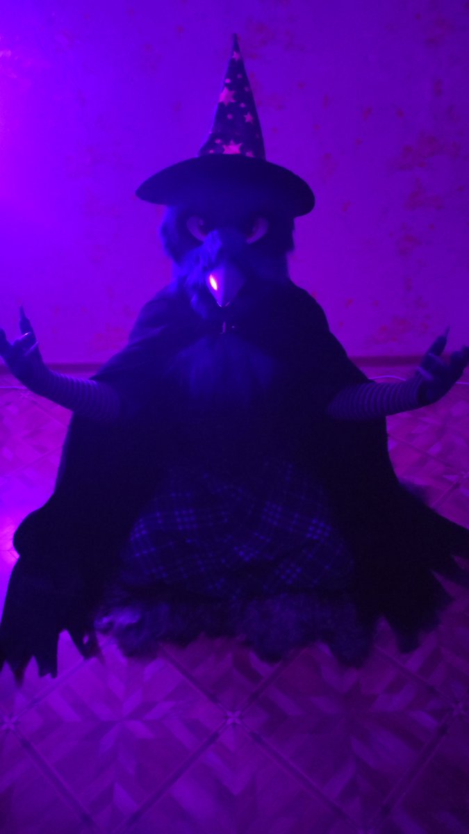 AilloTusk's tweet photo. Picked up a costume for Halloween party. I think it turned out pretty good. But if you say it didn't, then i am gonna turn you into an animal... Wait, you'd like that, wouldn't you? #Halloween #FursuitFriday #furry @CuteFursuits @FursuitPursuits https://t.co/PhpvKETJlT